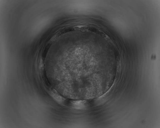 X0000089950191200707131524