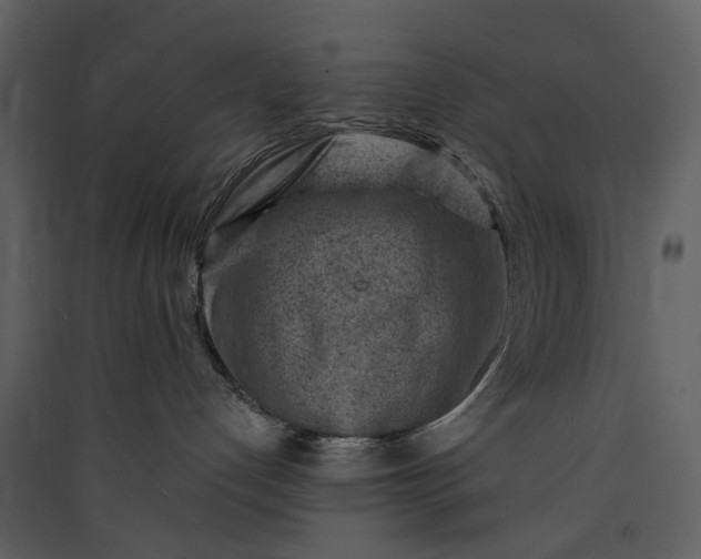 X0000089950192200707131524
