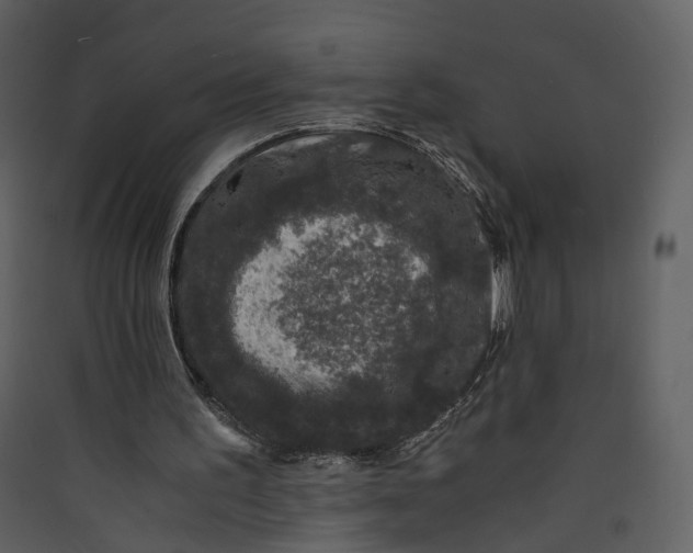 X0000089950195200707131523