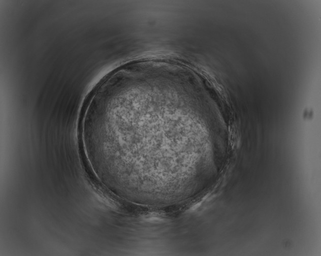 X0000089950196200707131523