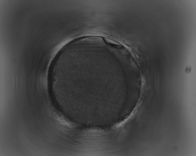 X0000089950200200707131523