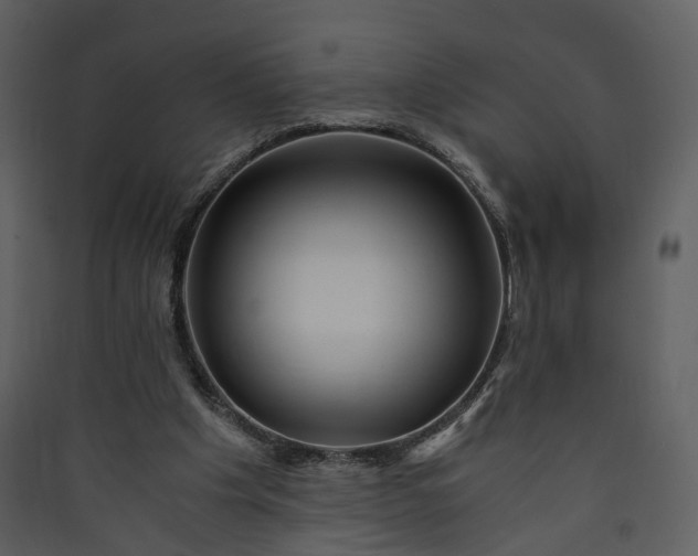 X0000089950201200707131523