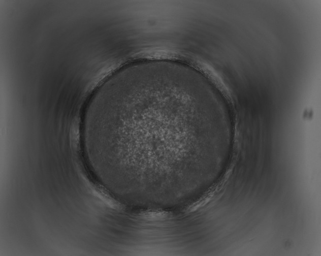 X0000089950202200707131523