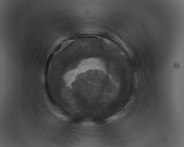 X0000089950203200707131523