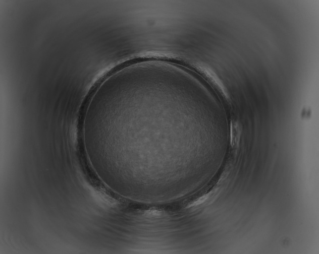X0000089950204200707131523