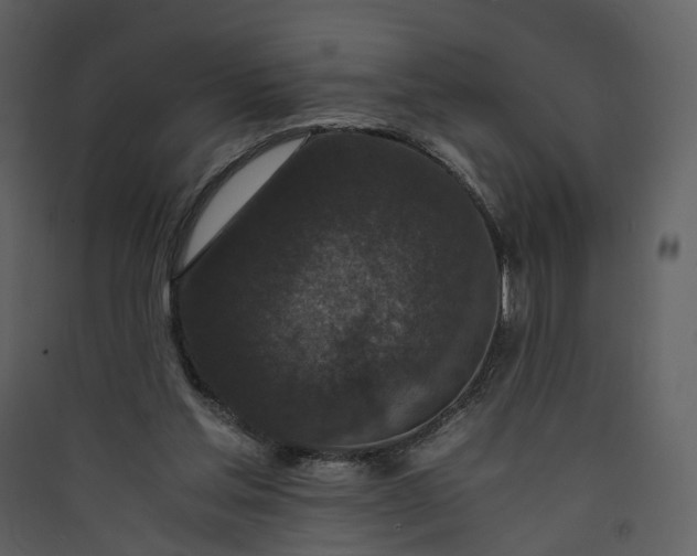 X0000089950205200707131523