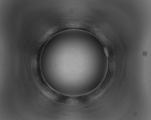 X0000089950207200707131523