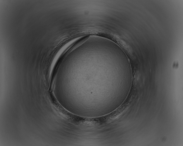 X0000089950209200707131523