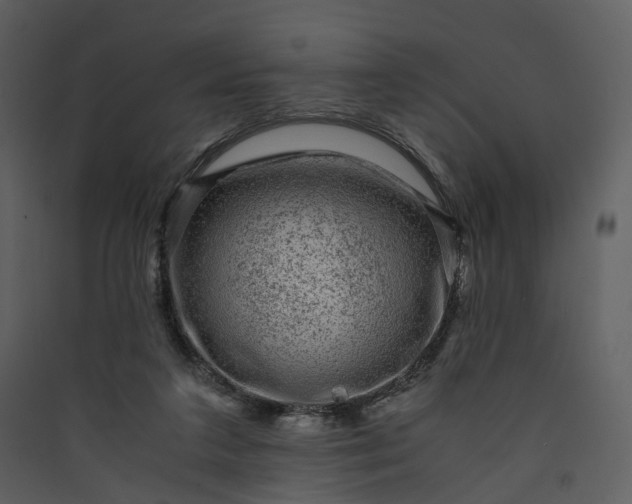X0000089950211200707131523