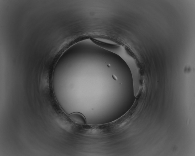 X0000089950212200707131523