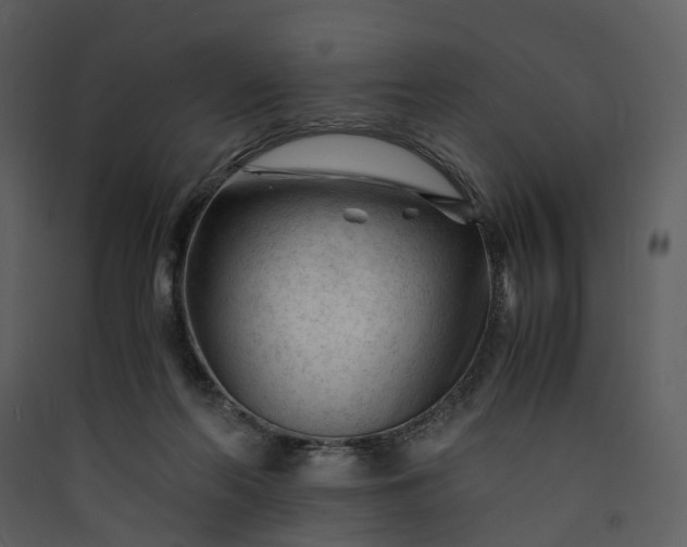 X0000089950214200707131523