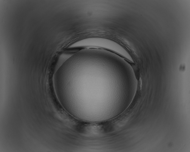 X0000089950217200707131523