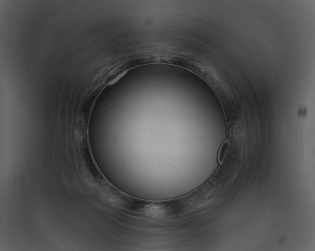 X0000089950218200707131523