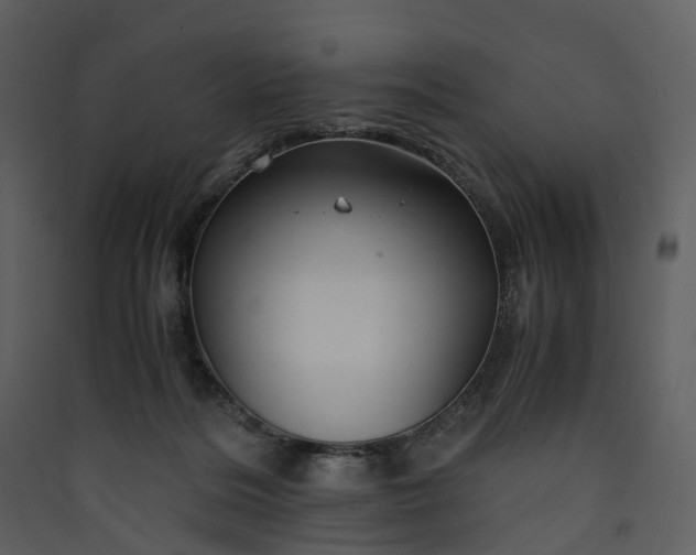 X0000089950220200707131523