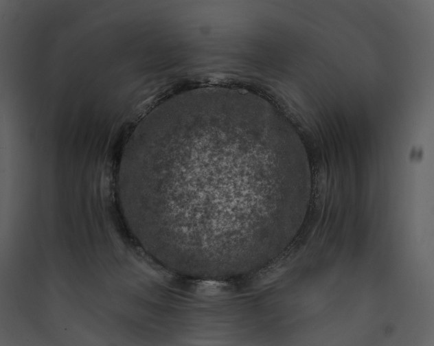 X0000089950222200707131523