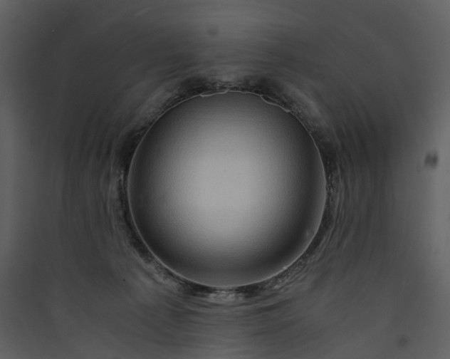 X0000089950225200707131523