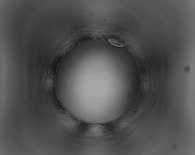 X0000089950226200707131523