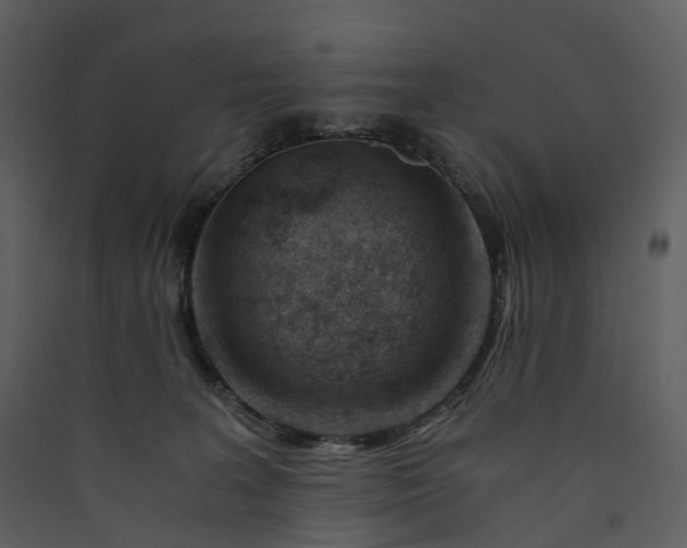 X0000089950227200707131523
