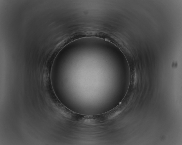 X0000089950228200707131523