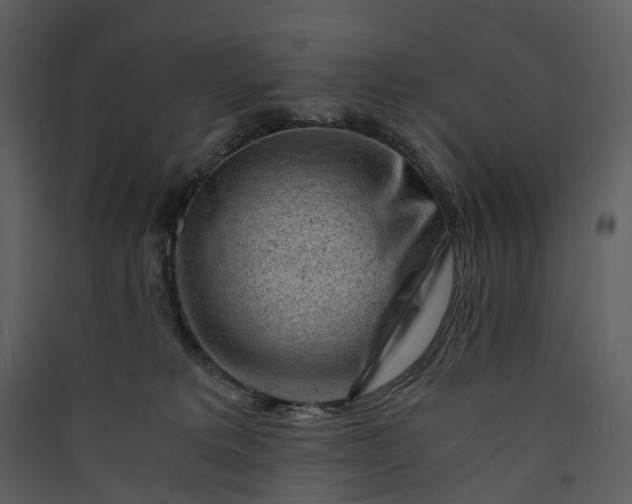 X0000089950229200707131523