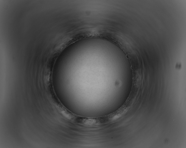 X0000089950230200707131523