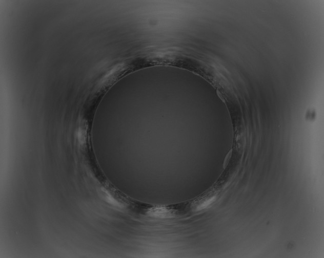X0000089950231200707131523