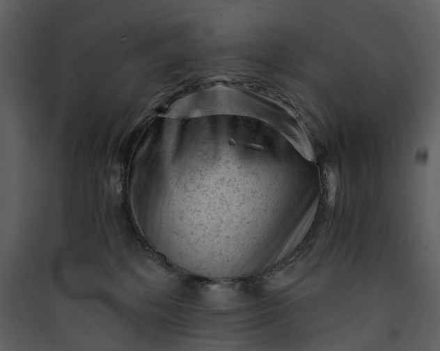X0000089950232200707131523