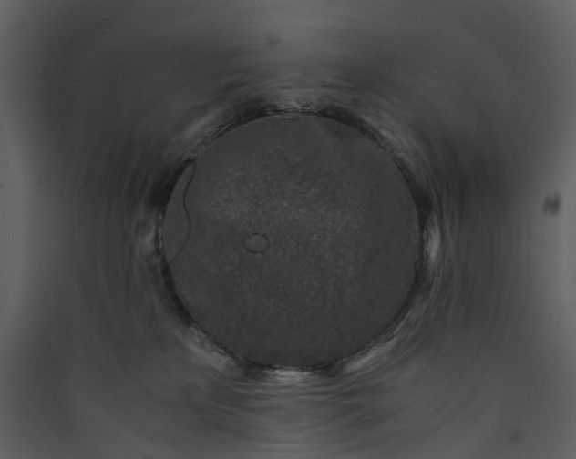 X0000089950233200707131523
