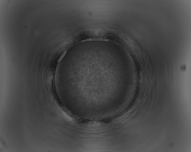 X0000089950235200707131523