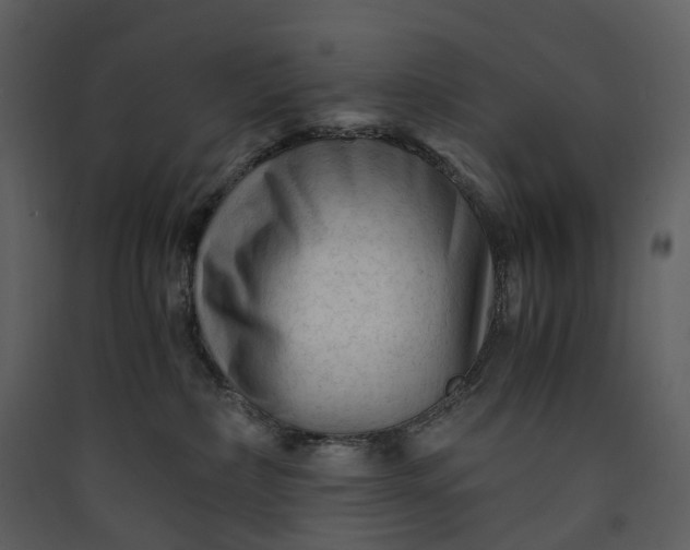 X0000089950236200707131523