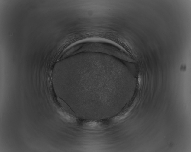 X0000089950237200707131523