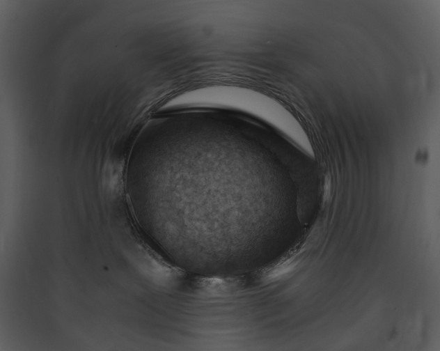 X0000089950239200707131523