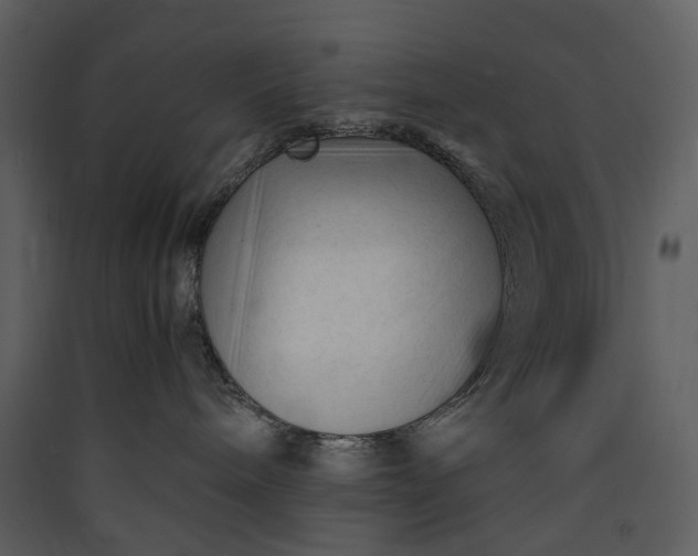X0000089950240200707131523