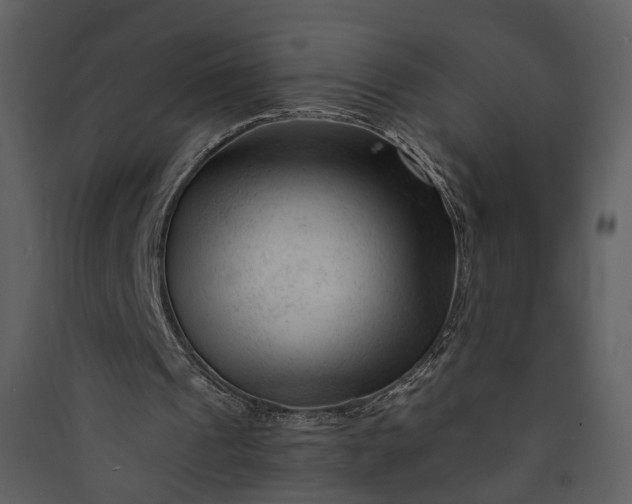 X0000089950241200707131522