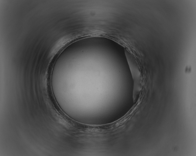 X0000089950242200707131522