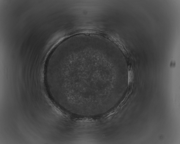 X0000089950243200707131522