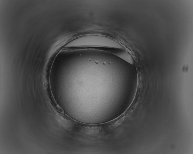 X0000089950245200707131522