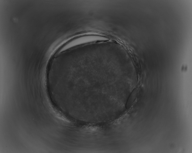 X0000089950247200707131522