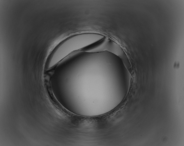 X0000089950248200707131522