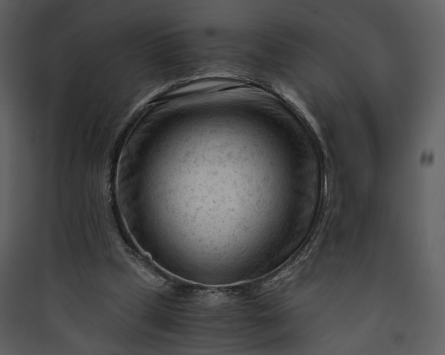 X0000089950249200707131522