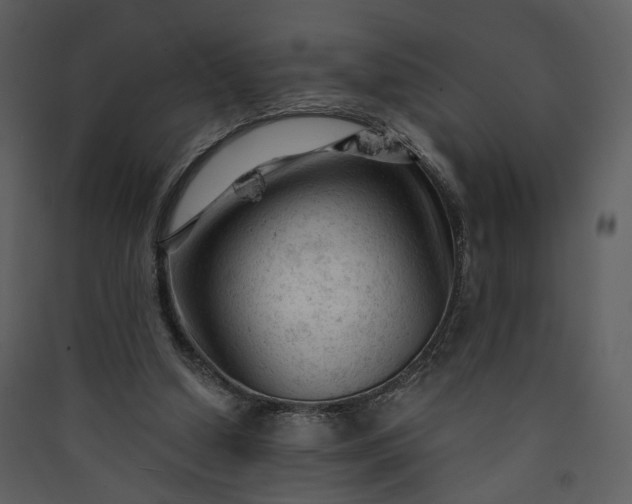 X0000089950250200707131522