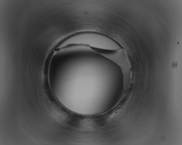 X0000089950252200707131522