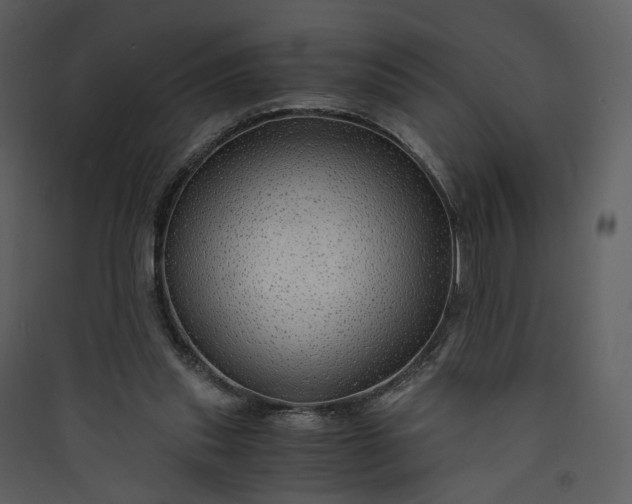 X0000089950253200707131522