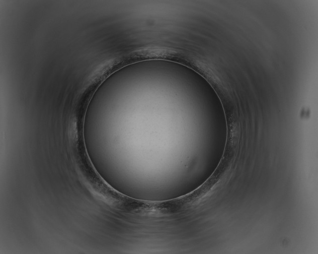 X0000089950254200707131522