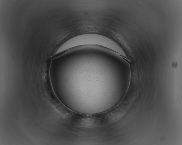 X0000089950259200707131522