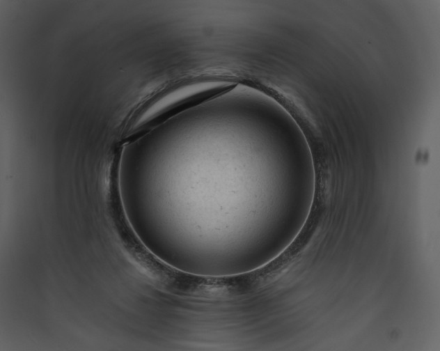 X0000089950260200707131522