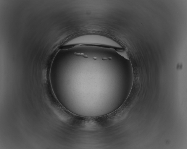 X0000089950262200707131522