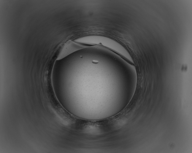 X0000089950263200707131522