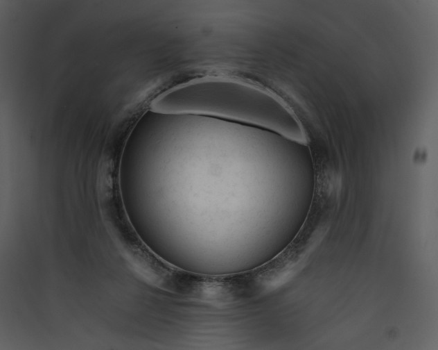 X0000089950264200707131522