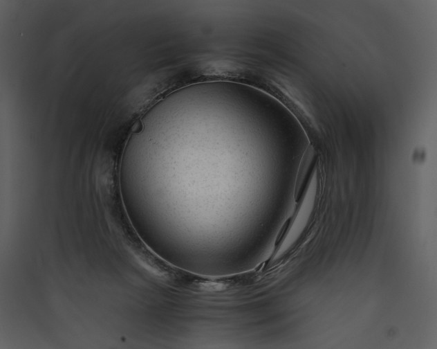 X0000089950265200707131522